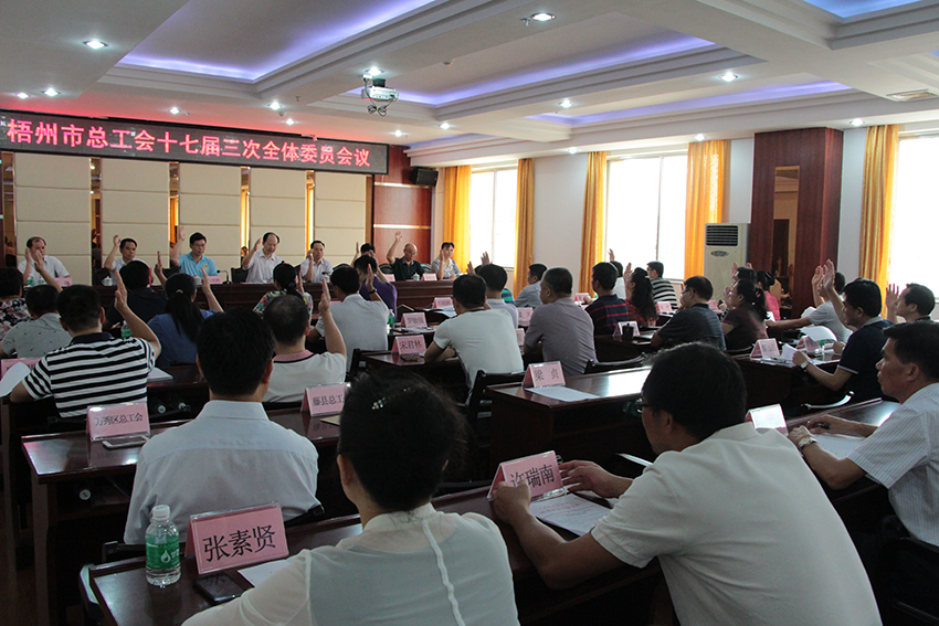 梧州市總召開(kāi)十七屆三次全體委員會(huì)議(圖文)