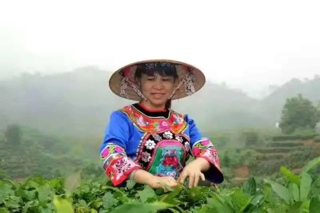 【梧州工匠】劉錦芳：鉆研和創(chuàng)新，帶領(lǐng)鄉(xiāng)親發(fā)家致富