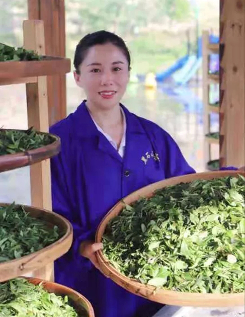 【梧州工匠】石濡菲：擇一茶，修一技，終一生