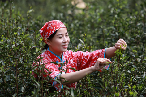 2022年“全國十佳農(nóng)民”揭曉 全國勞模石濡菲上榜！