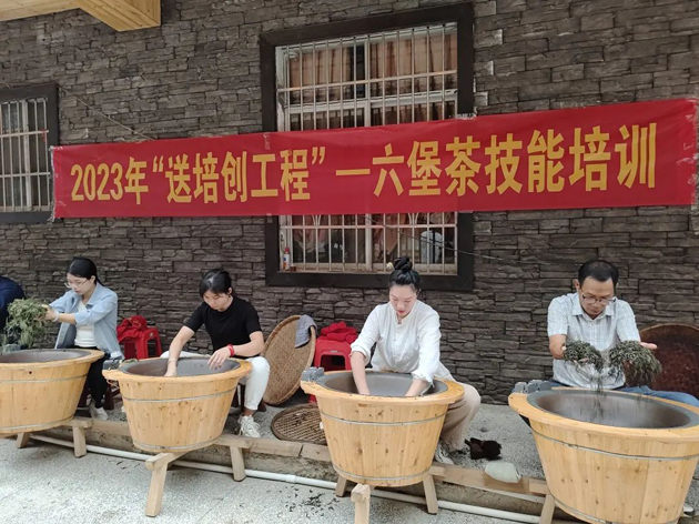 送培創(chuàng)到村屯 助就業(yè)添動(dòng)力丨廣西梧州市六堡茶工匠學(xué)院六堡茶技能培訓(xùn)班成功舉辦