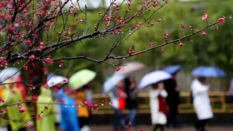 今日雨水！別忘了咱的老講究！