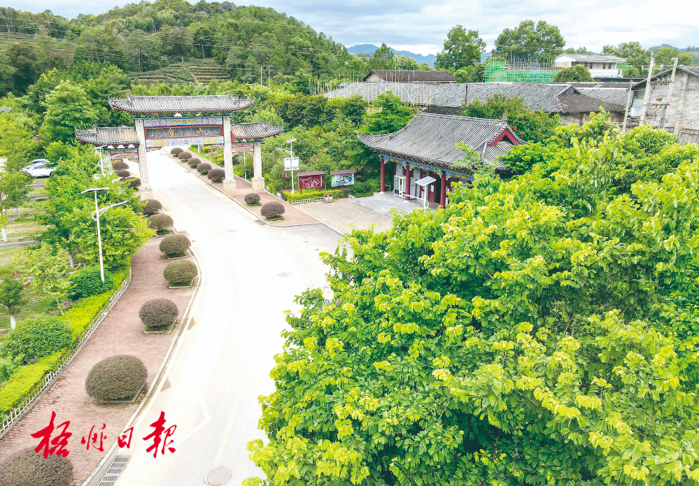 梧州全市生態(tài)茶園面積達(dá)33.34萬畝！