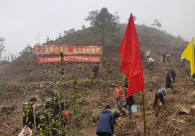 岑溪市總工會開展迎新春種茶活動