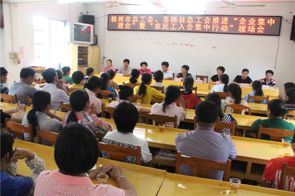梧州市總工會、蒼梧縣總工會推進(jìn)&ldquo;企業(yè)集中建會&rdquo;暨&ldquo;農(nóng)民工入會集中行動現(xiàn)場會.jpg
